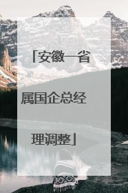 安徽一省属国企总经理调整
